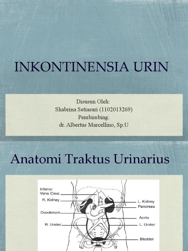 Inkontinensia Urin Salinan Pdf Kesehatan Holistik Sains Matematika