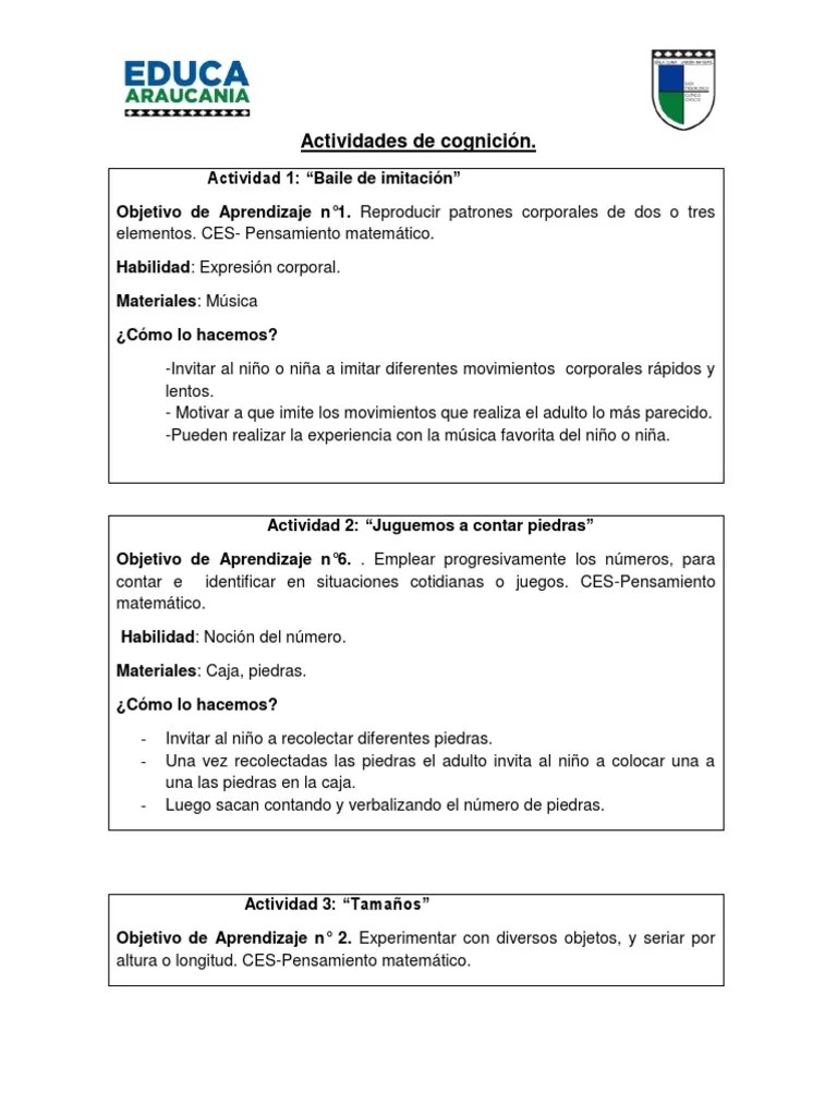 Actividades De Cognición | PDF | Aprendizaje | Conceptos Psicologicos