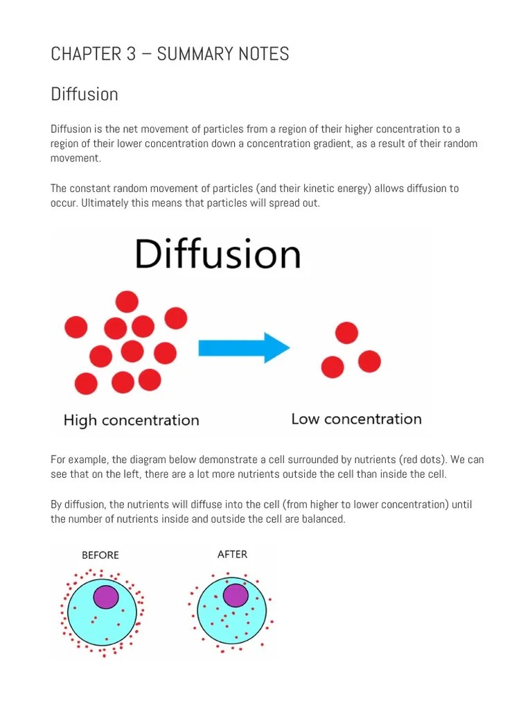CH 3 Summary Notes | PDF