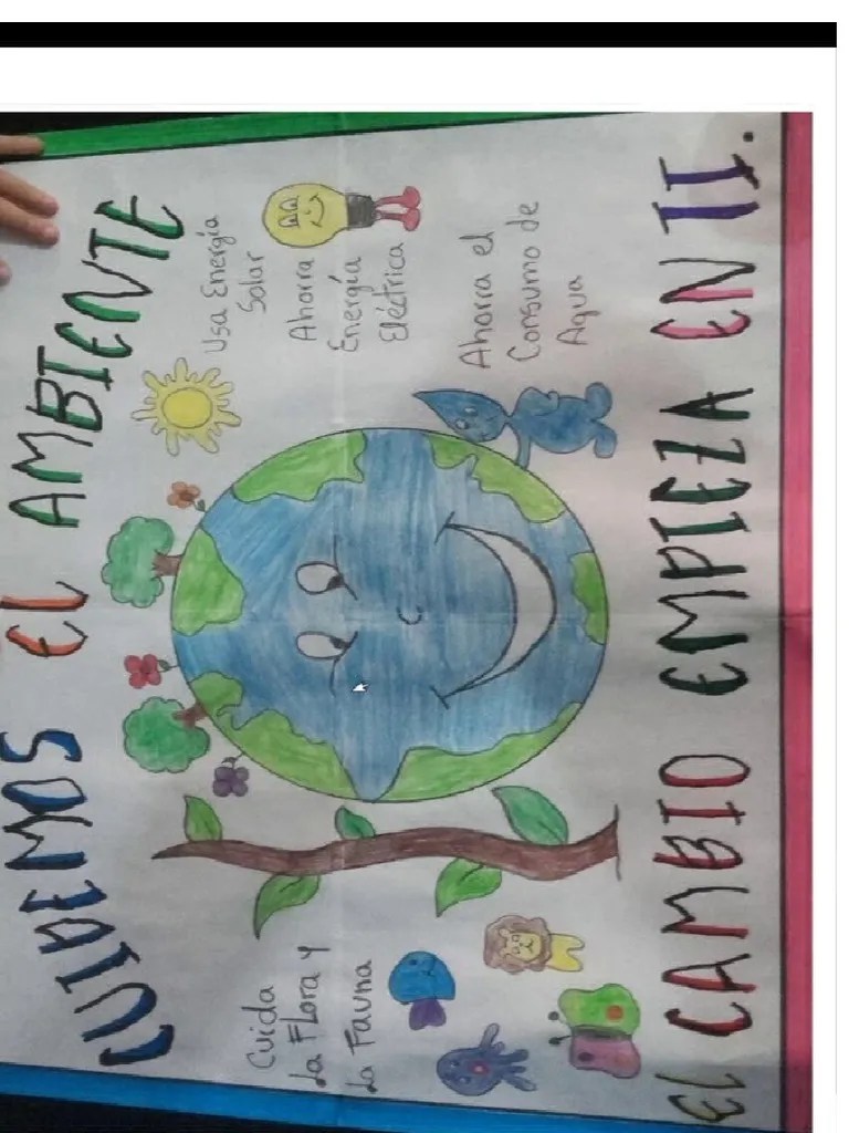 Afiche Del Medio Ambiente | PDF