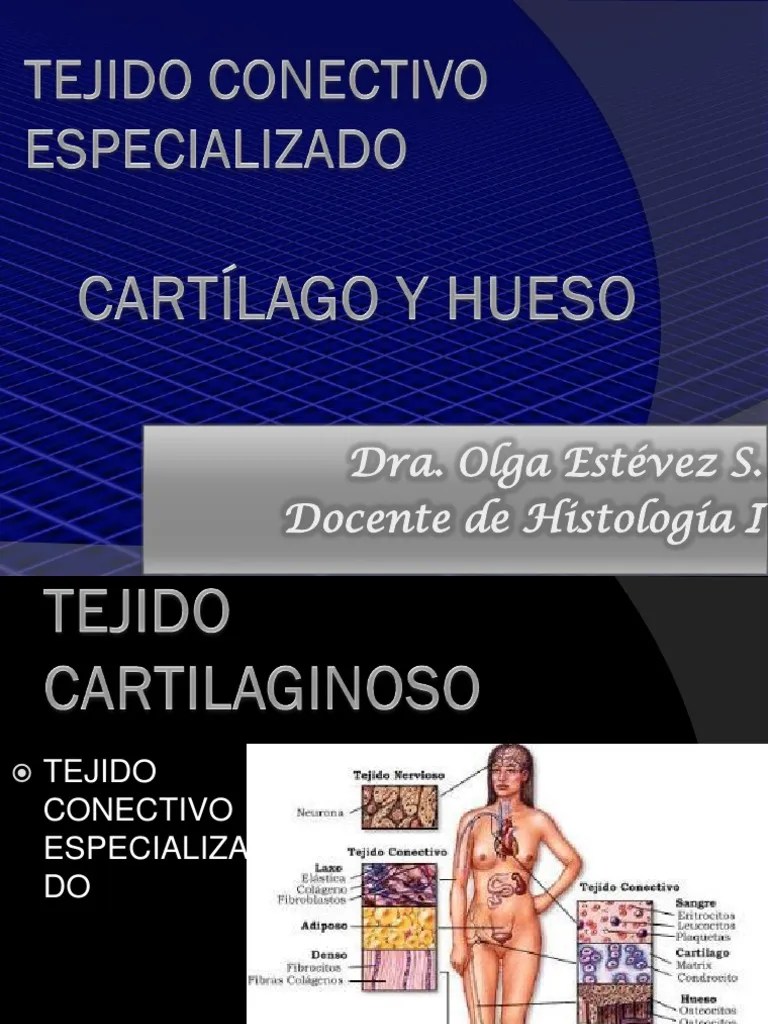 Clase 6.-Cartilago Y Hueso | PDF