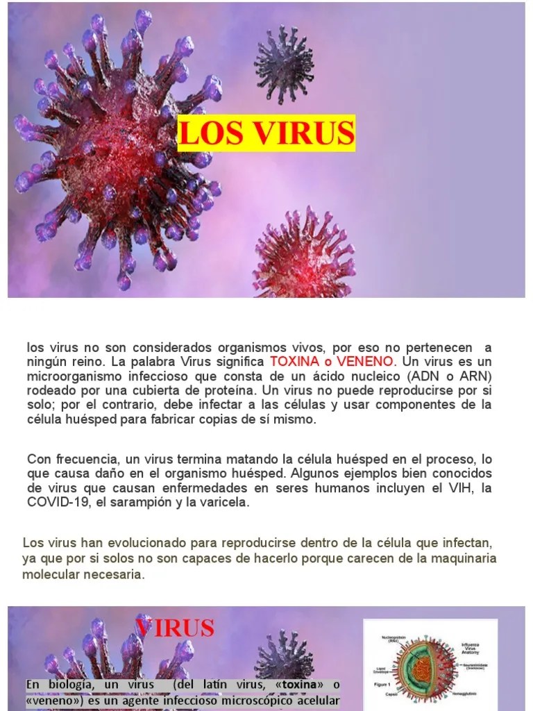 Virus | PDF | Virus | Inmunología