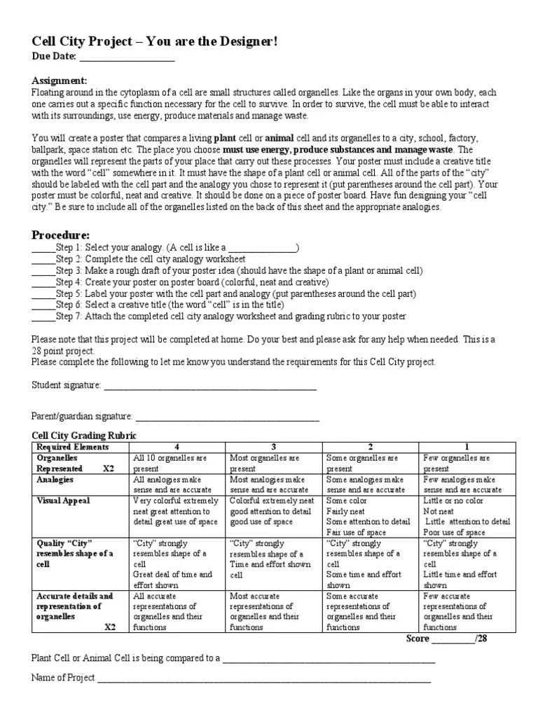 Cell City Project | PDF | Cell (Biology) | Organelle