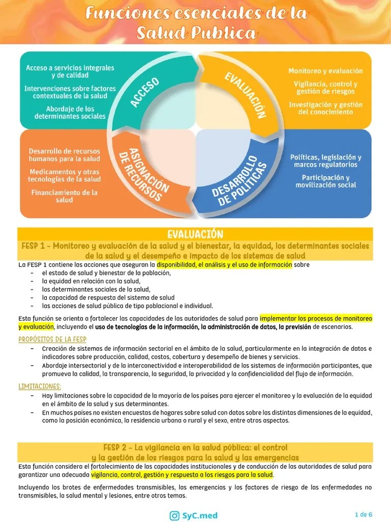 Funciones Esenciales De La Salud Pública | PDF | Sistema De Salud ...