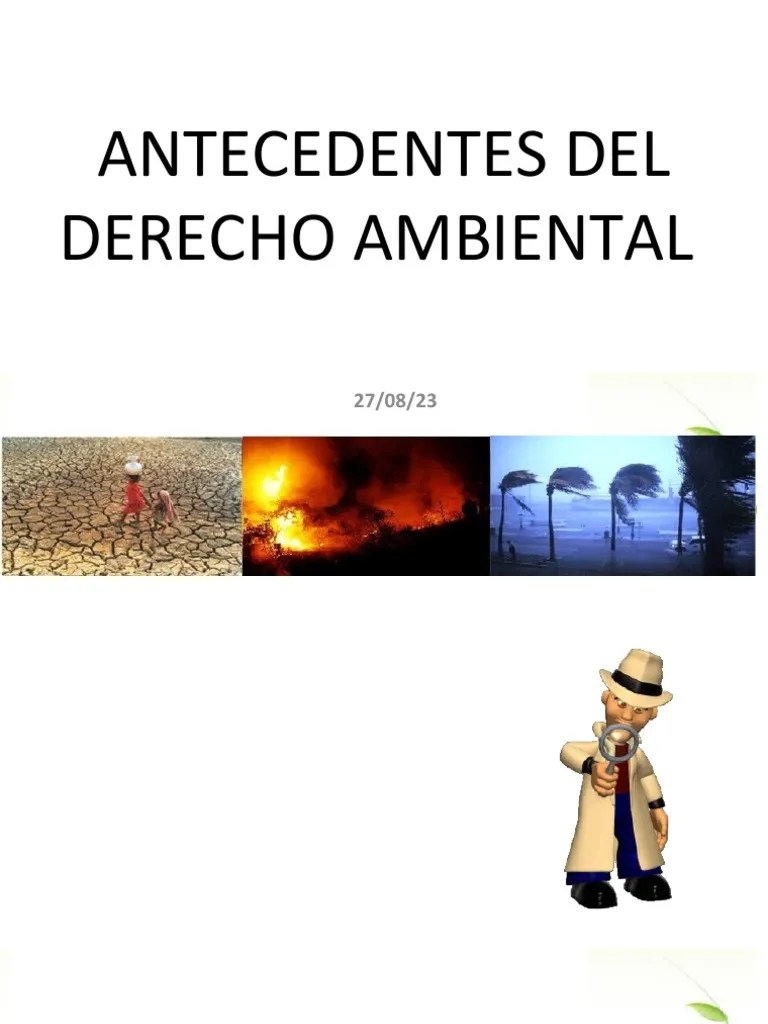 Principios Del Derecho Ambiental | PDF