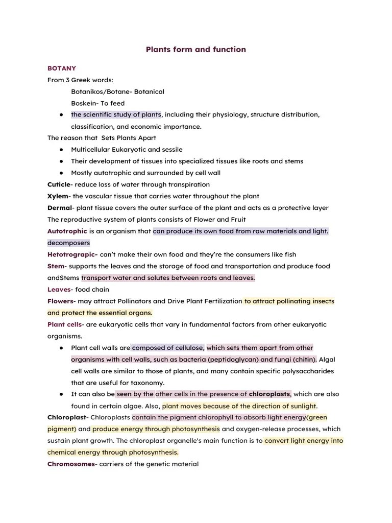 General Biology Reviewer | PDF | Leaf | Plants