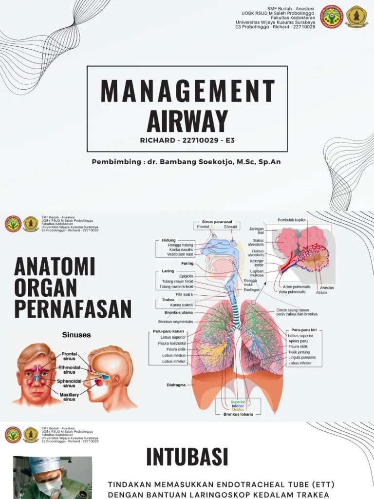 Management Airway | PDF