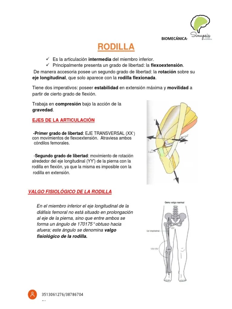 RODILLA | PDF | Rodilla | Sistema Musculoesquelético