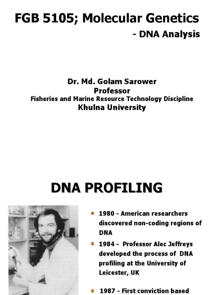 DNA Analysis | PDF | Microsatellite | Dna Profiling