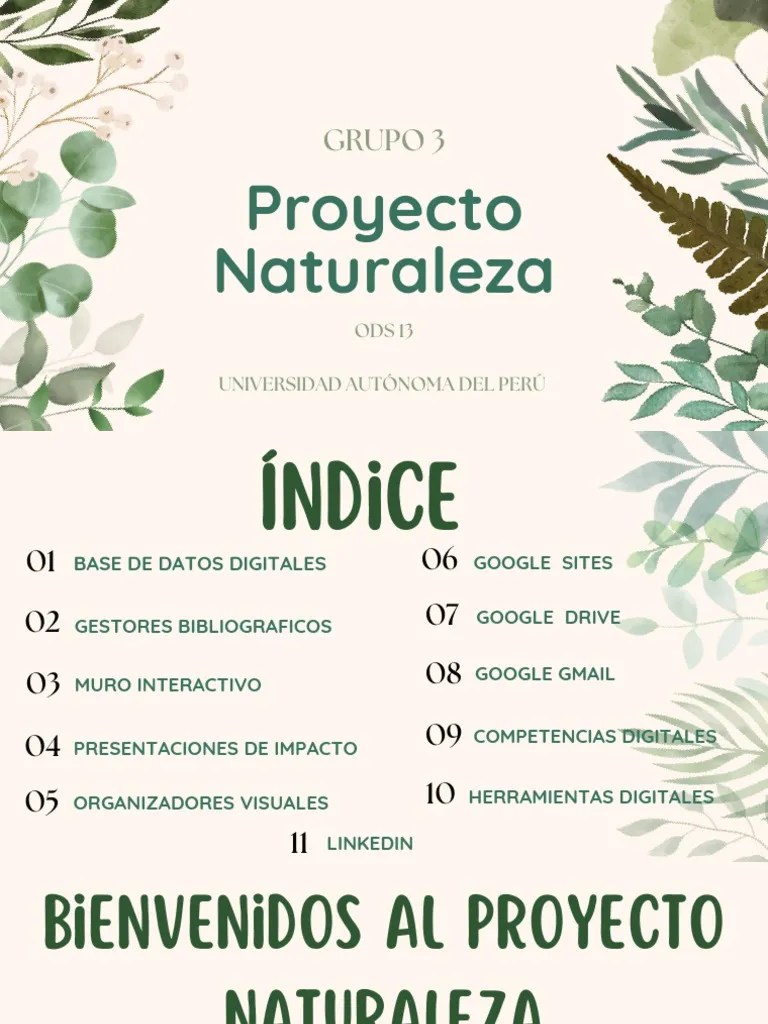 Proyecto Final PD | PDF | Biodiversidad | Entorno Natural