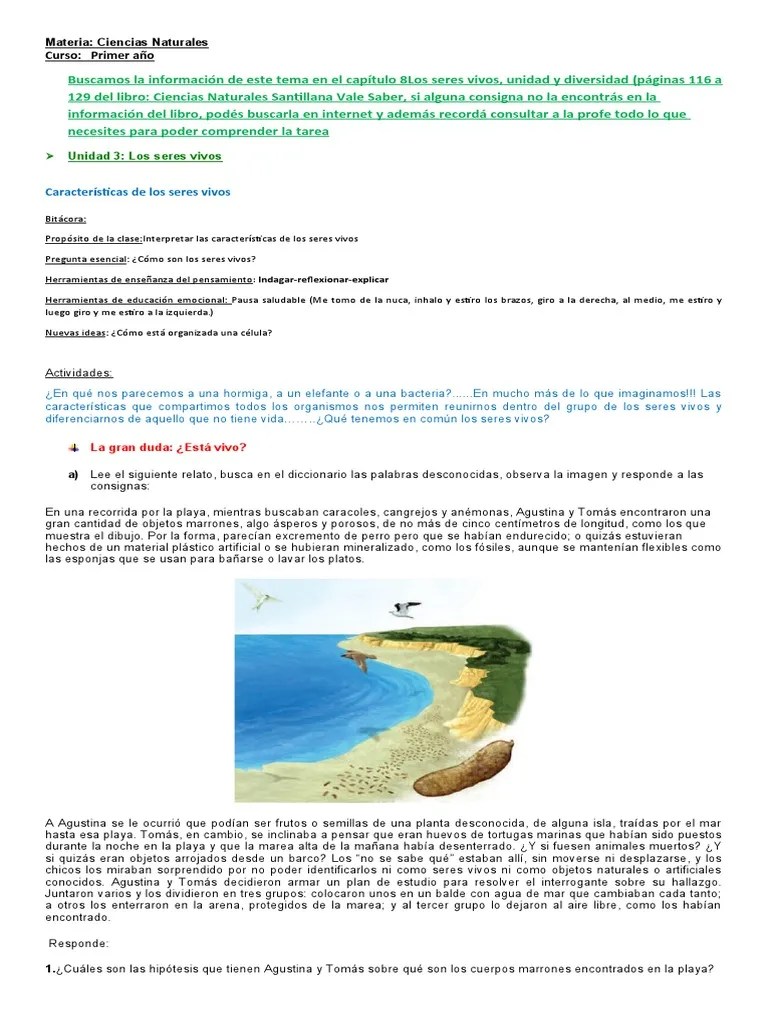 Unidad 3 Los Seres Vivos (Actividad 1) | PDF