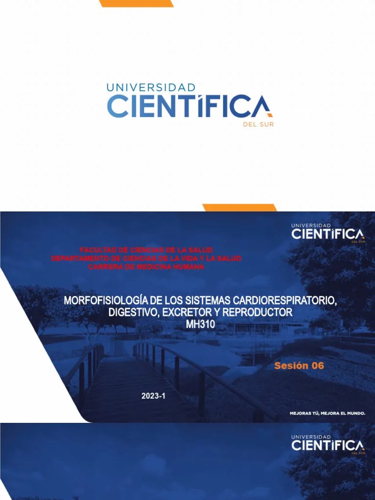 HISTOLOGIA+Sesión+6 +Práctica+Intestino+Delgado+y+Grueso,+Apendice,+Recto+y+Ano | Descargar ...