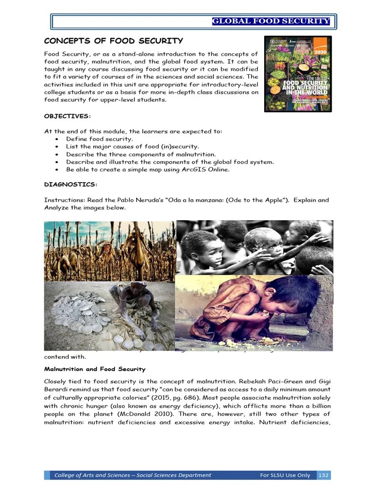 CAS-GEC04 Module11 Food-Security | PDF | Food Security | Malnutrition