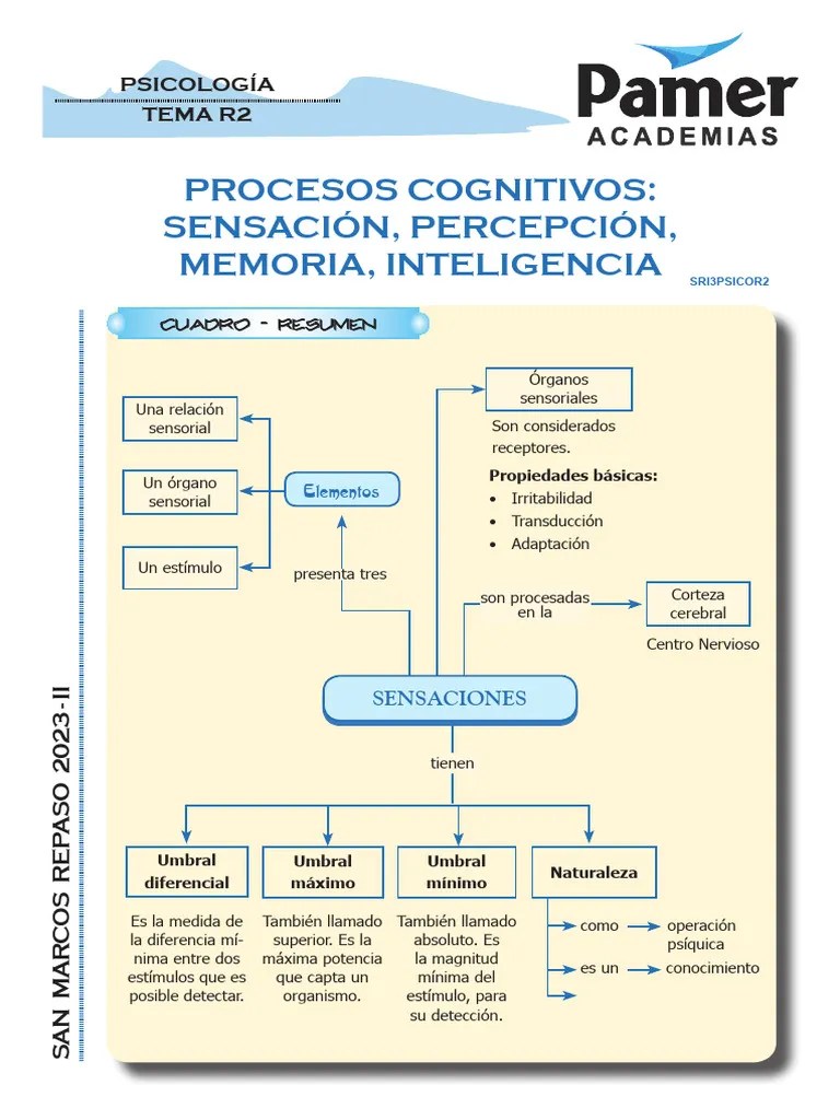 C - Psico - R2 - Procesos Cognitivos (Percepción, Atención, Memoria) | PDF | Memoria | Percepción