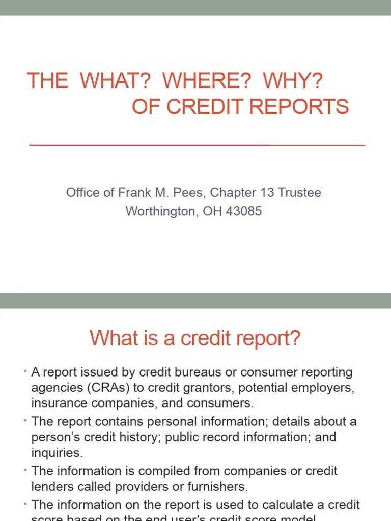 Contoh Powerpoint | PDF | Credit History | Credit