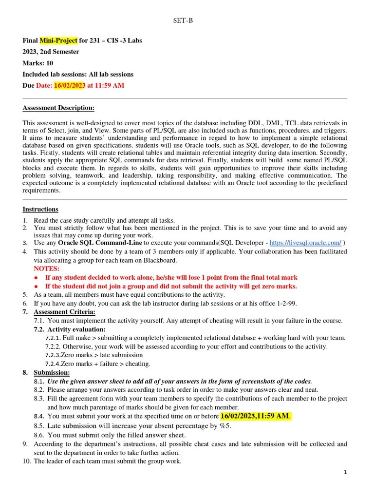 Mini-Project 231-CIS - LAB SET-B | PDF | Sql | Pl/Sql