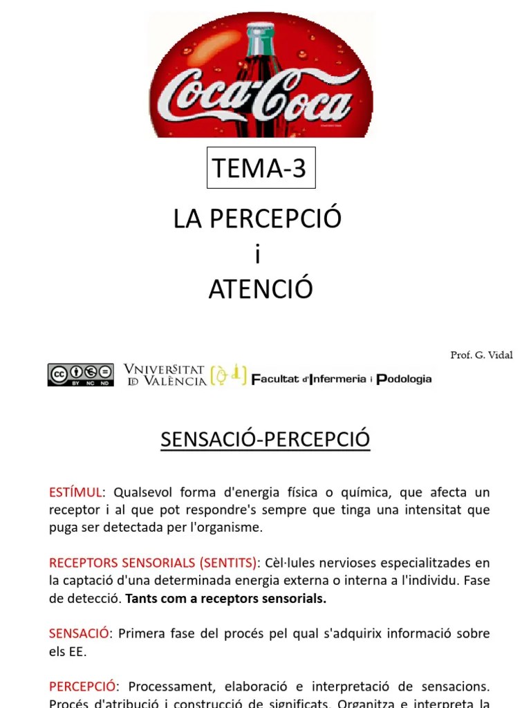 TEMA 3_PERCEPCIÓN Y ATENCIÓN_VAL 23_24_AULA | PDF