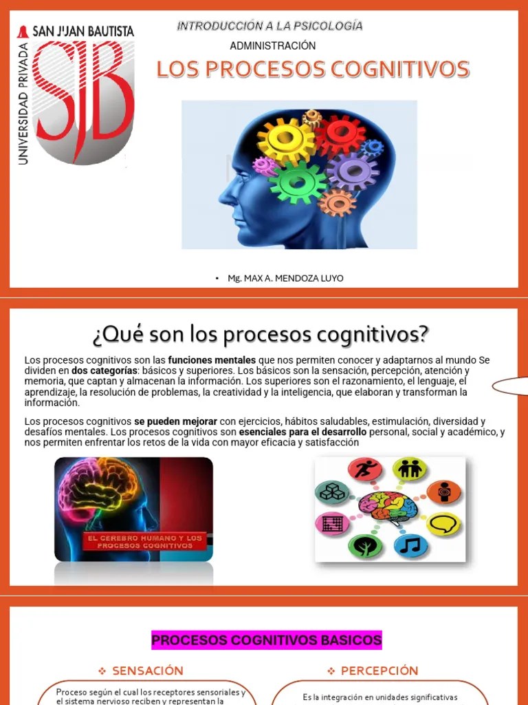 Los Procesos Cognitivos | PDF | Percepción | Pensamiento