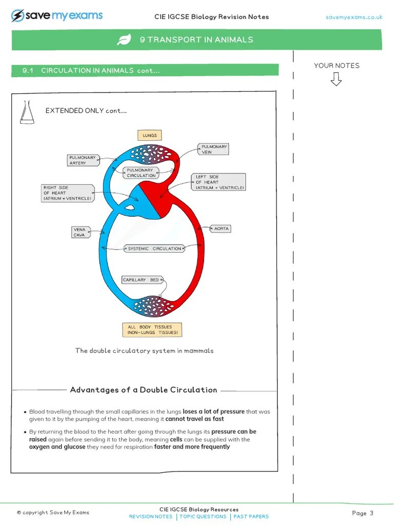 Part2 - CIE IGCSE Biology 9 RN - Sample | PDF | Heart | Artery