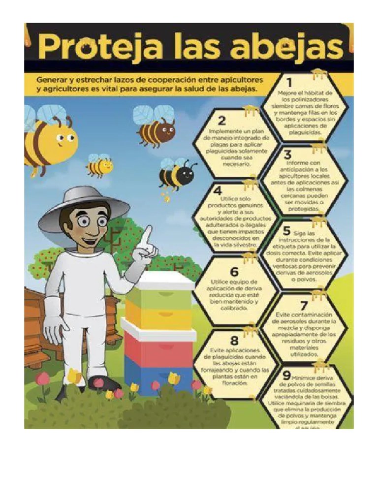 Sabías Que Las Abejas | PDF | Western Honey Bee | Abejas