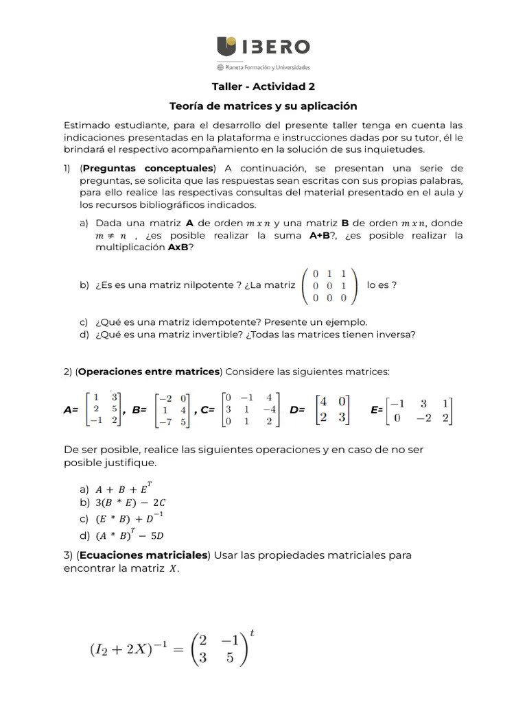 Actividad2 Algebra Lineal | PDF | Matriz (Matemáticas) | Determinante