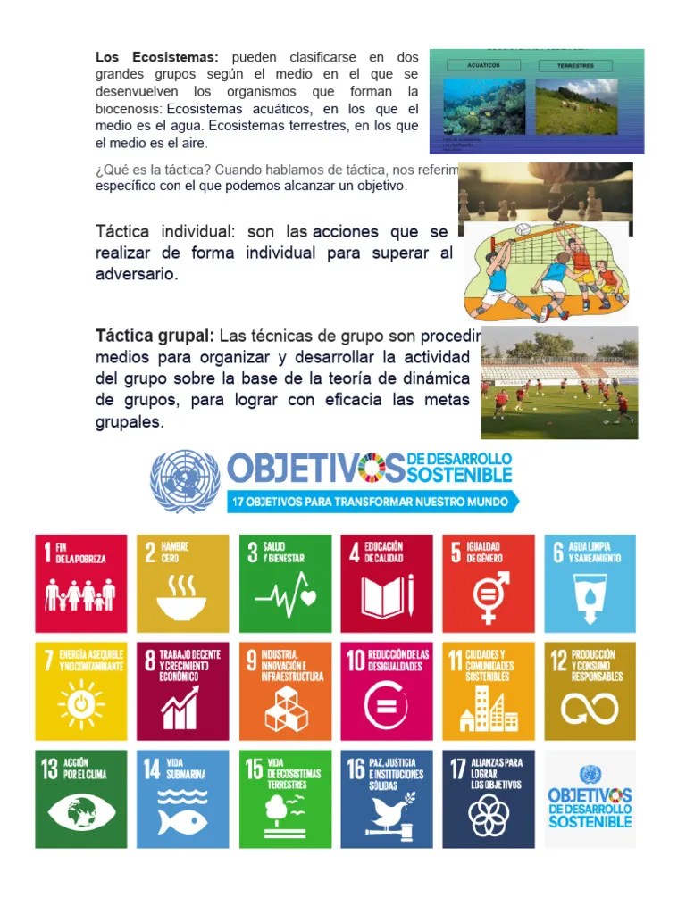 Los Ecosistemas | PDF