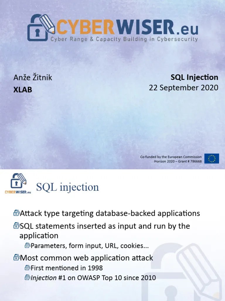 SQL Injection Exercise | PDF | Business | Computers