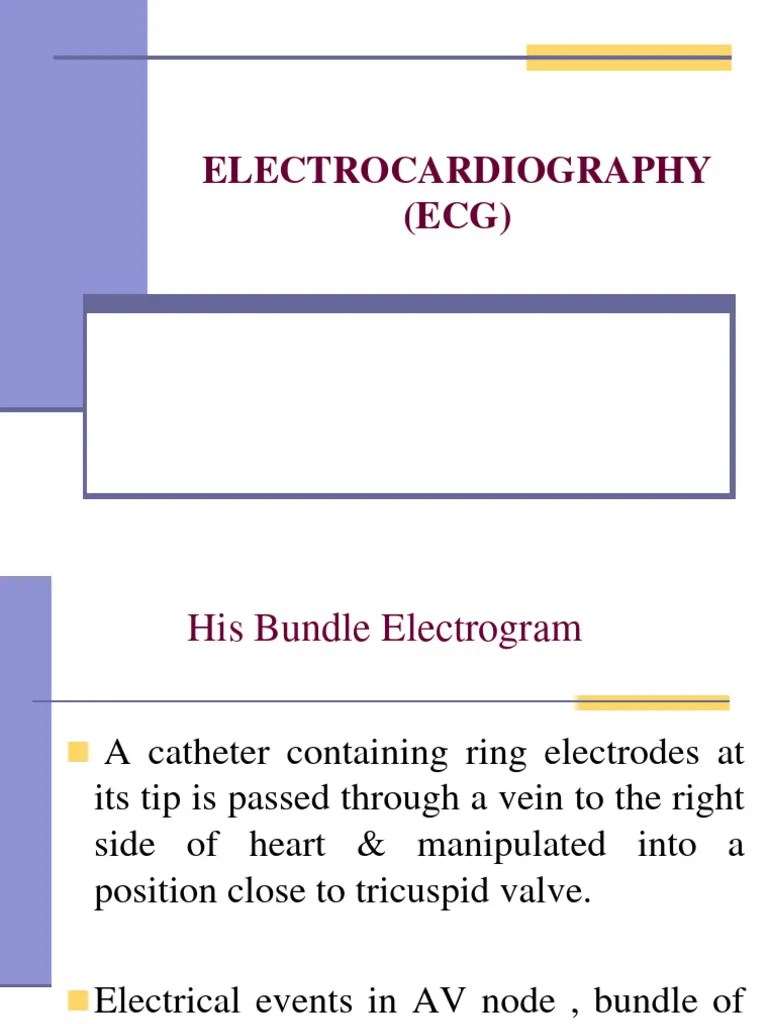 ECG 2022 Continued | PDF