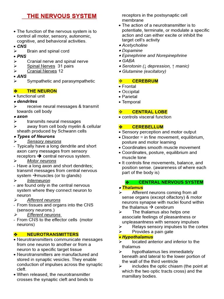 Neuro Notes | PDF | Central Nervous System | Nervous System
