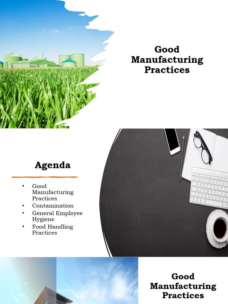 GMP Training | PDF | Hygiene