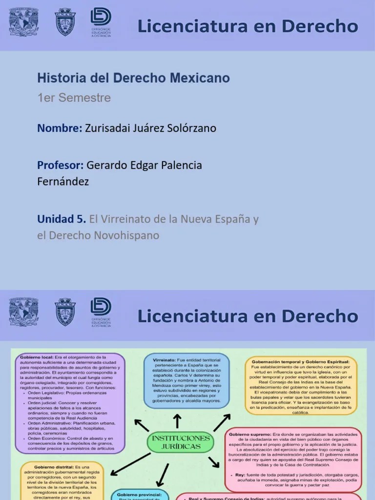 El Virreinato De La Nueva España Y El Derecho Novohispano | PDF