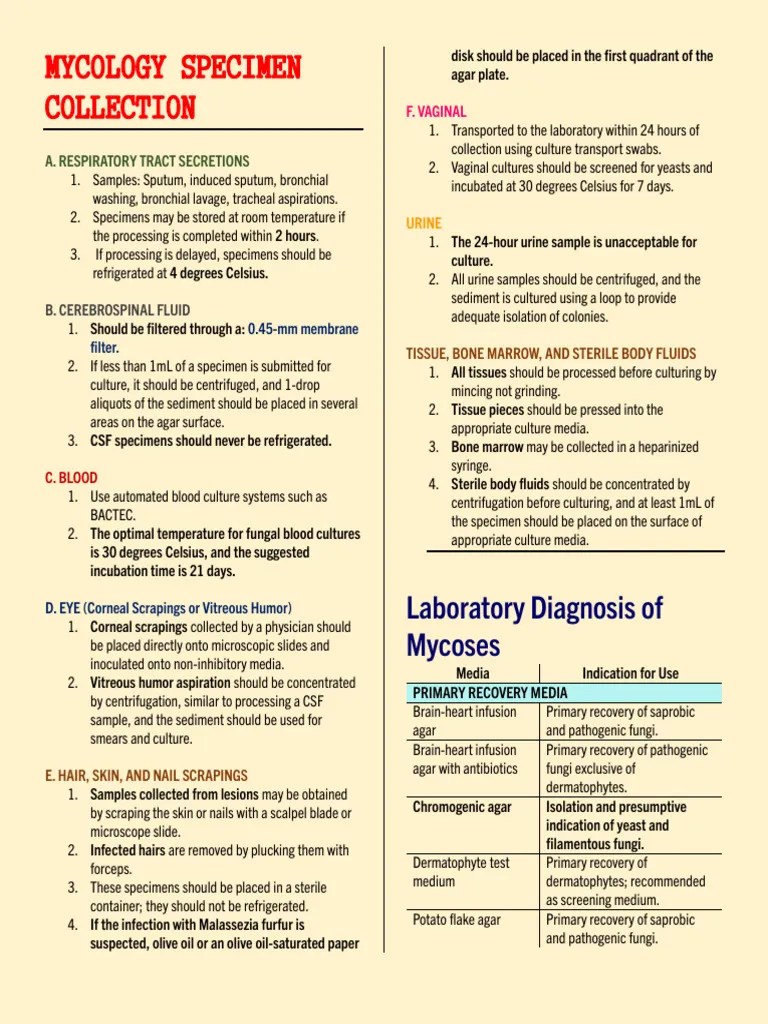 Mycology Specimen Collection | PDF | Fungus | Yeast