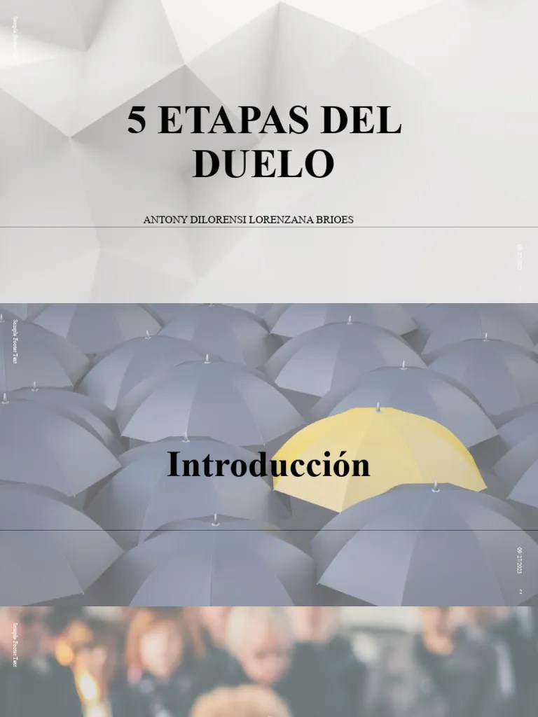 5 Etapas Del Duelo | PDF