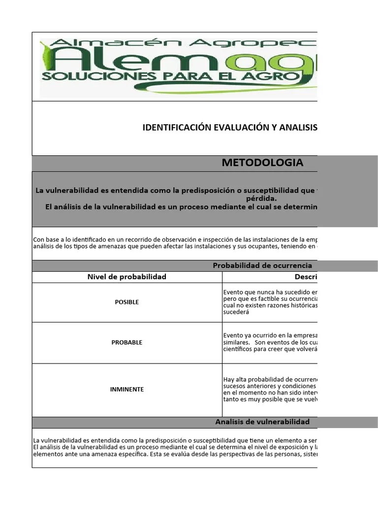 Analisis De Vulnerabilidad | PDF | Riesgo | Epidemias