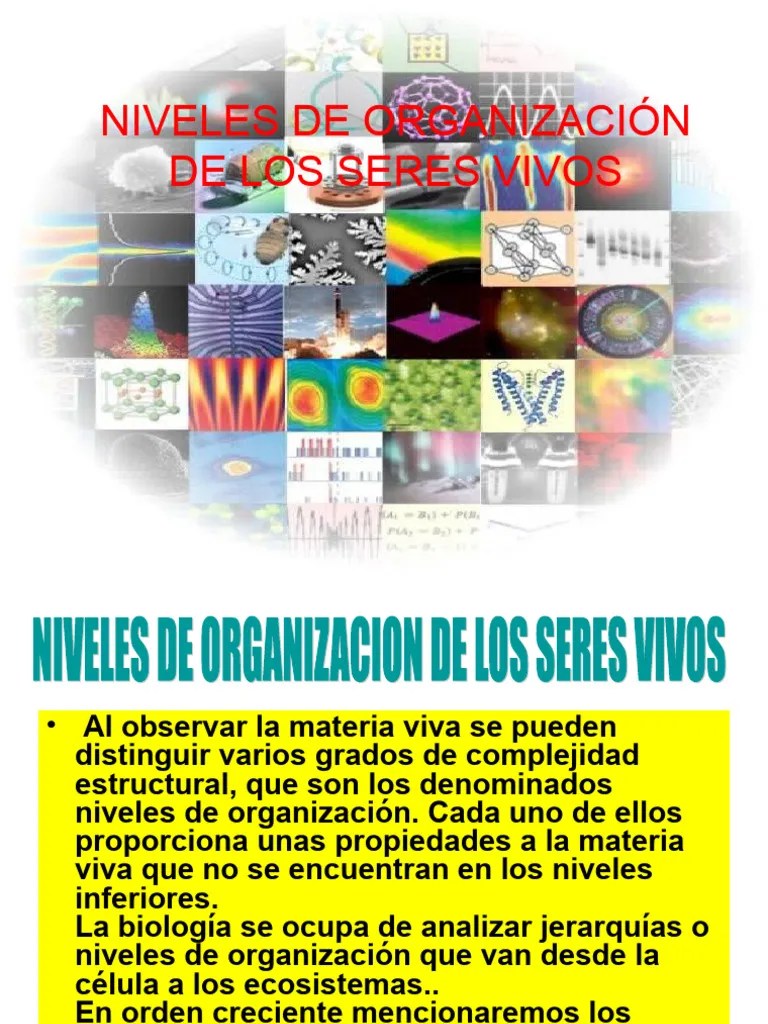 Unidad 1 Niveles De Organizacion 3.0 | PDF | Organismos | Biología Celular)