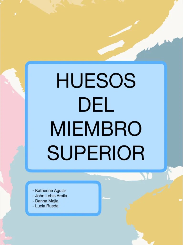 Miembro Superior | PDF | Anatomía | Anatomía Humana