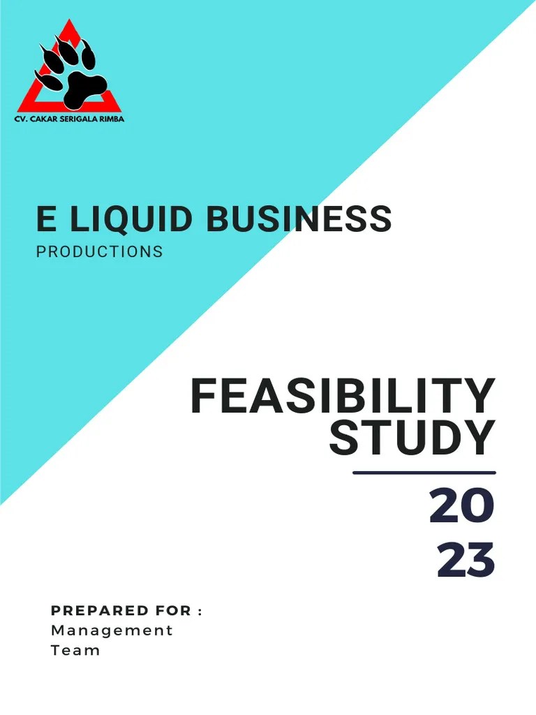 Feasibility Study | PDF