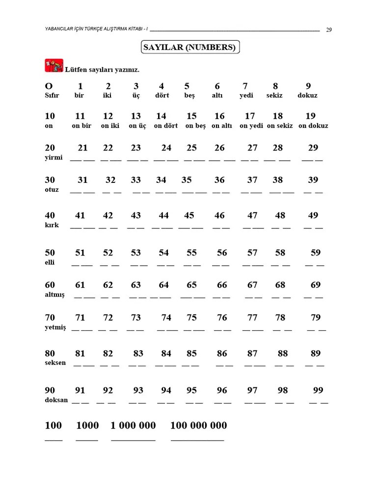SAYILAR (Numbers) | PDF