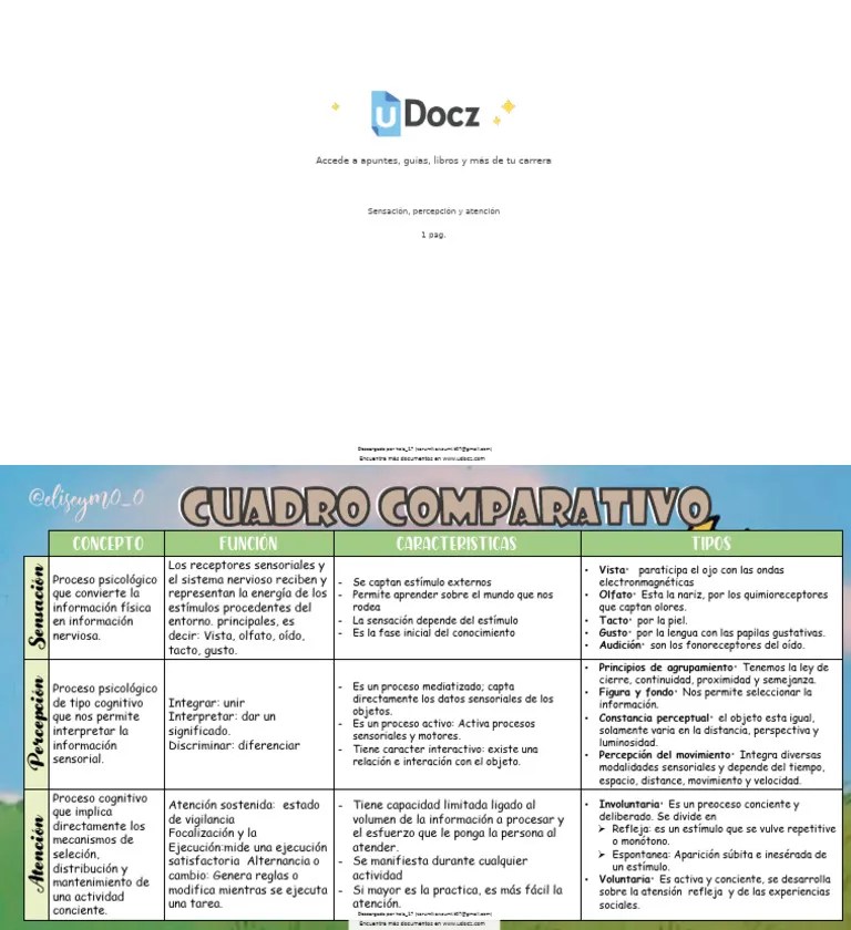 Sensacion Percepcion - Tema 7 | PDF