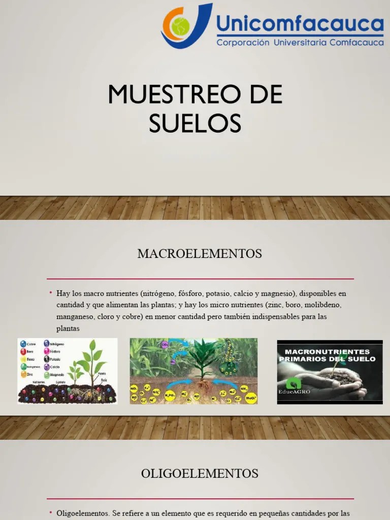 Muestreo De Suelos | PDF | Fertilizante | Nutrientes
