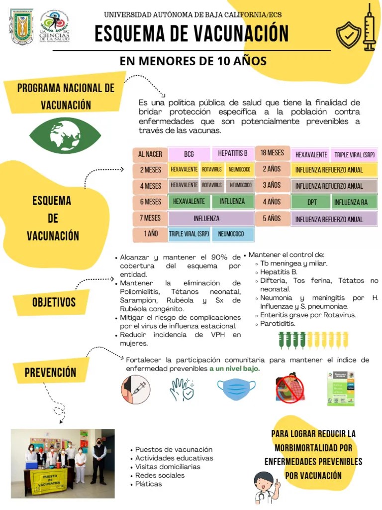Esquema De Vacunación | PDF