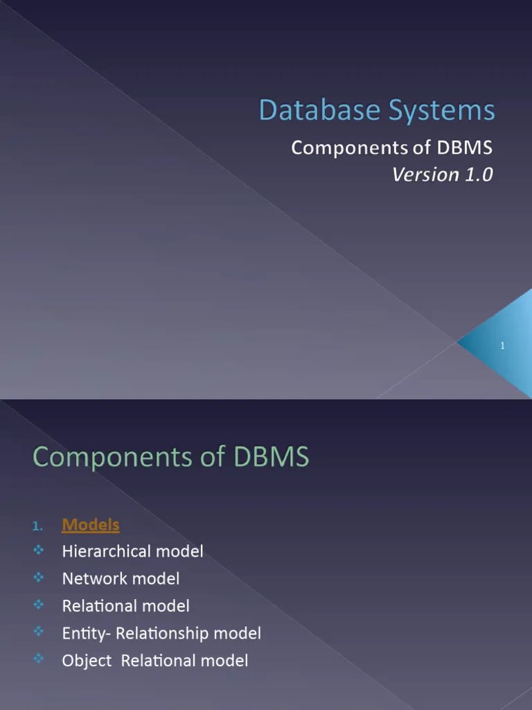 Components Of DBMS | PDF | Database Transaction | Acid
