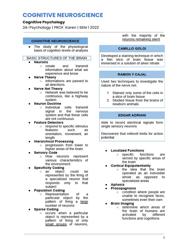 Chapter 2 - Cognitive Neuroscience | PDF