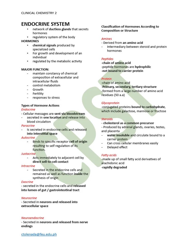 Endocrine System | PDF | Growth Hormone | Endocrine System
