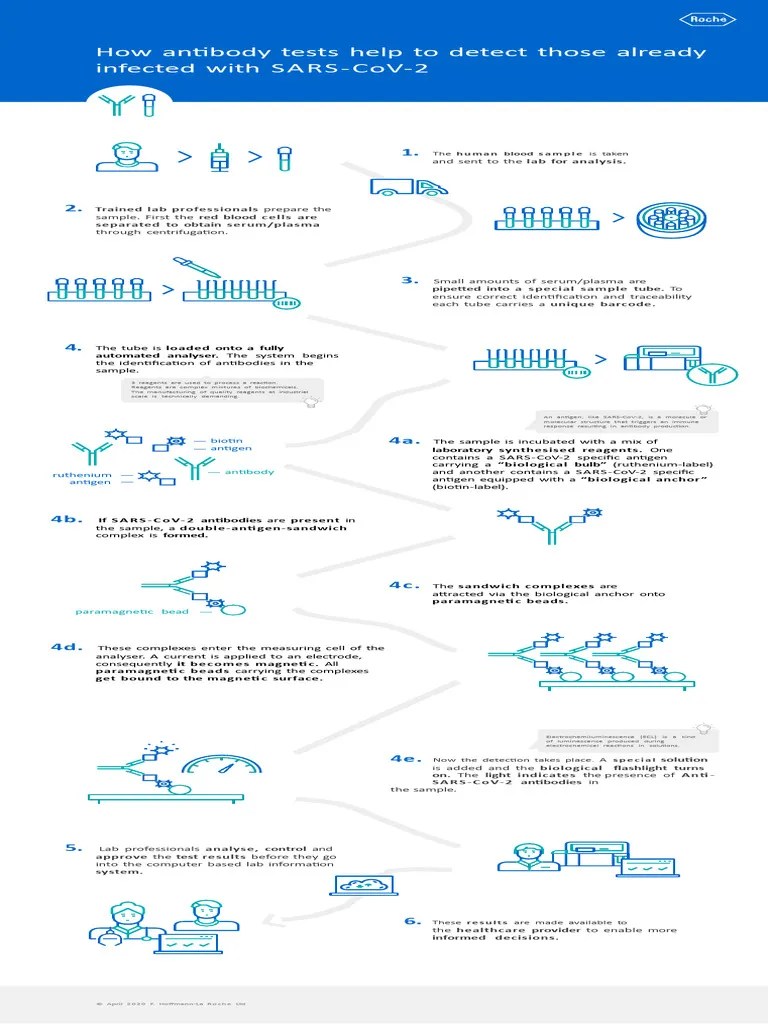 How SARS CoV2 Antibody Test Works. | PDF | Antibody | Antigen