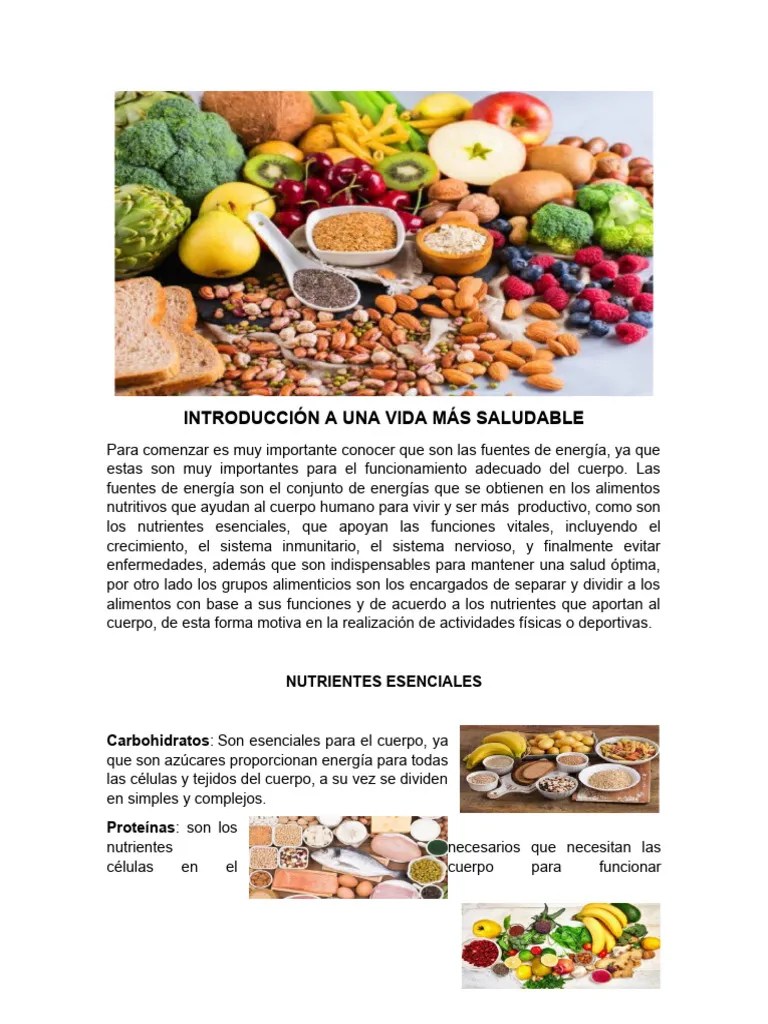 Fuentes De Energía | PDF | Nutrientes | Alimentos