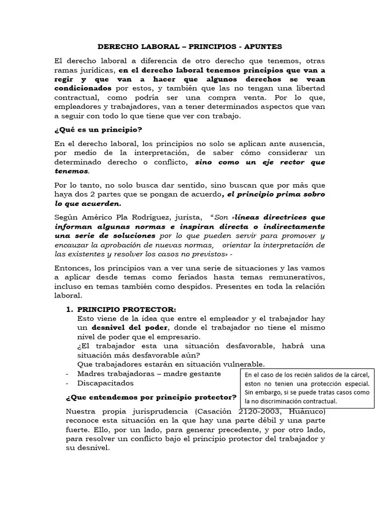 Derecho Laboral - Principios - Apuntes | PDF | Derecho Laboral | Justicia