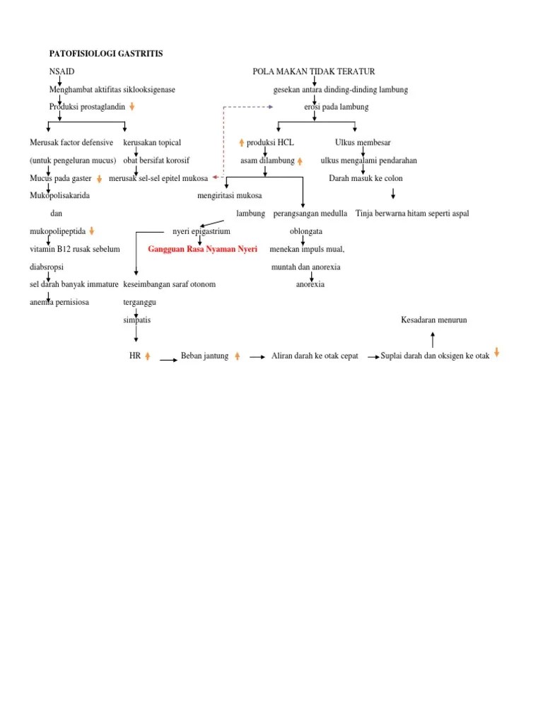 Patofisiologi Gastritis | PDF