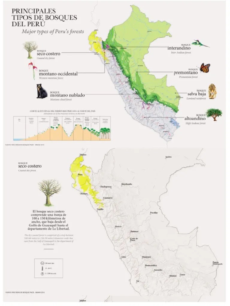 BOSQUESSSSSSSS | PDF