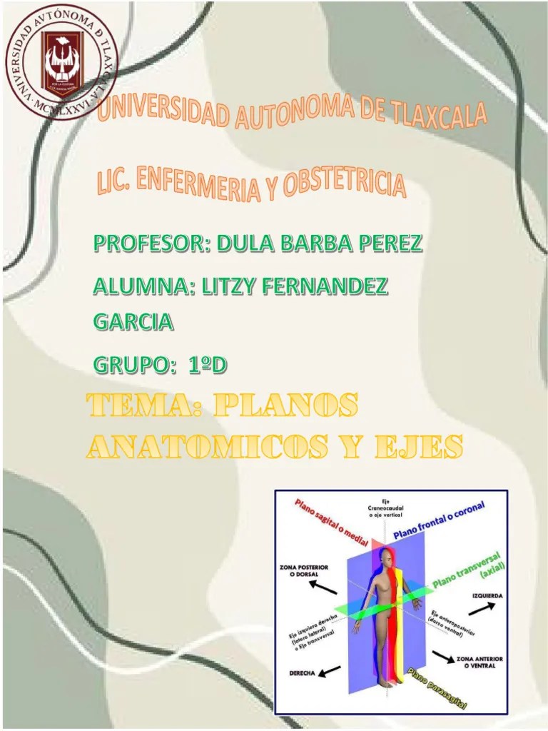 Planos Y Ejes | PDF | Términos Anatómicos De Ubicación